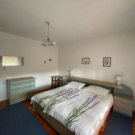 Apartament Pavat *