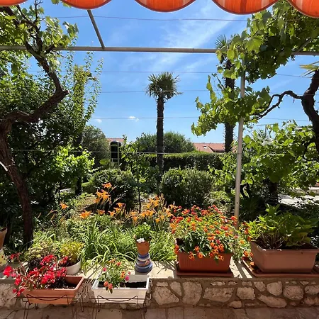 Pavat Apartament